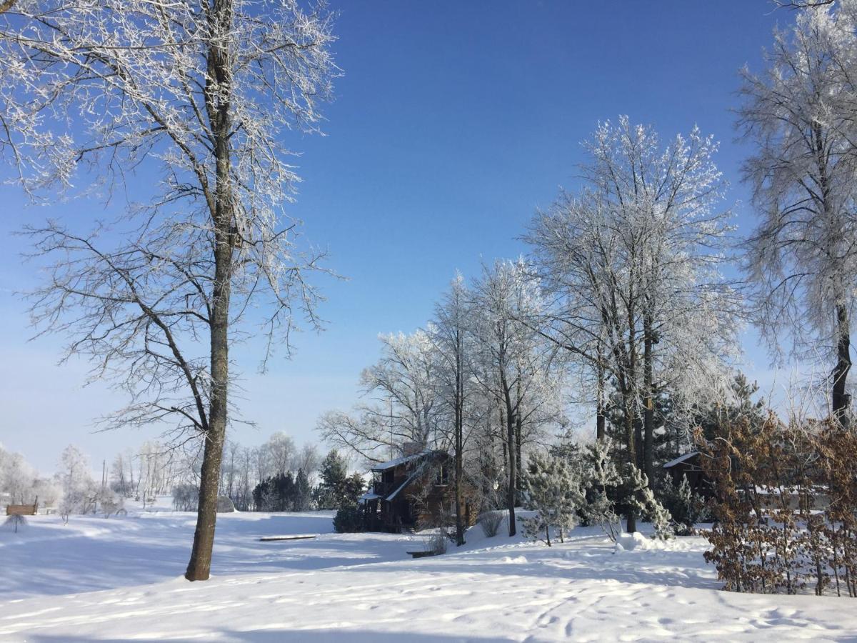Villa Namelis Prie Sirvintos Upes Su Pirtimi Exterior foto